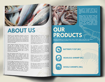 Brochure design | export company