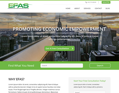 EFAS - Website Design
