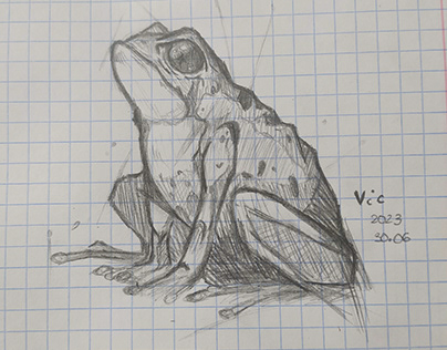 Frog sketch - day 21 of posting everyday