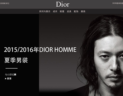 Dior Homme Web design 15 summer
