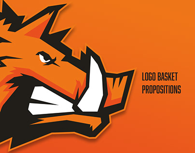 Logo Basket Essais