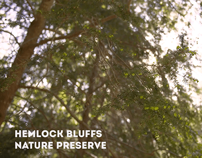 Hemlock Bluffs Nature Preserve Commercial