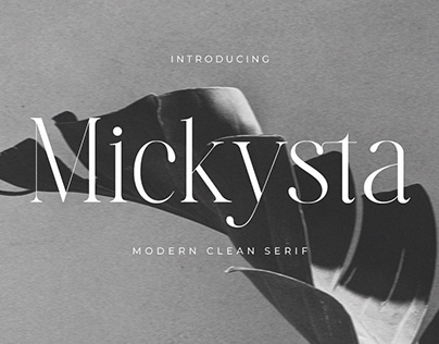 Mickysta - Modern Serif Font