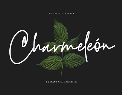 Charmeleon Script Typeface