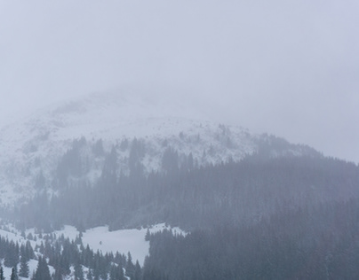 Winter mist in Carpathian mountains