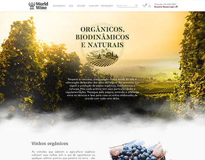 World Wine - Landing Pages WEB / UI DESIGN
