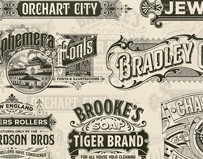 Vintage Graphic Collection