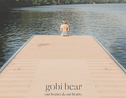 Our homes & Our Hearts, GOBI BEAR (LP) 2017