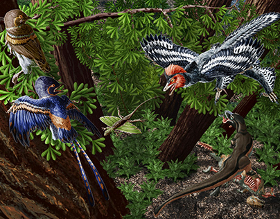 Feathered dinosaurs of Cretaceous China