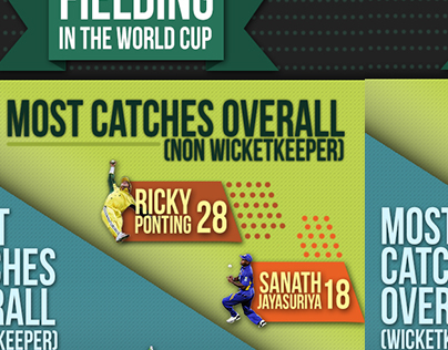 Cricket Infographics