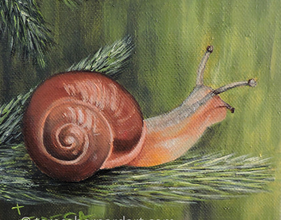Snail #3: Out on a Limb