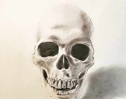 Skull 2021