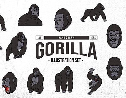 Hand Drawn Gorilla Illustration Set