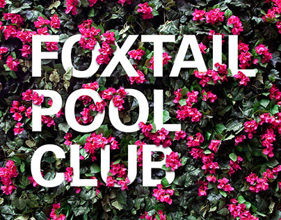 Steve Angello+Foxtail Pool Club / Identity