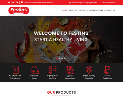 Festins Foods | Spices powder business website