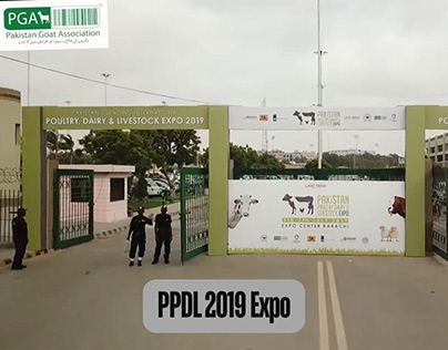 Pakistan Goat association PPDL 2019 Expo Coverage
