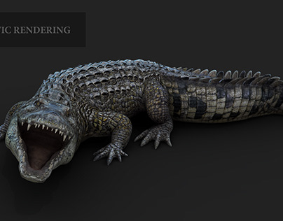 3D Crocodile Modelling and Rigging