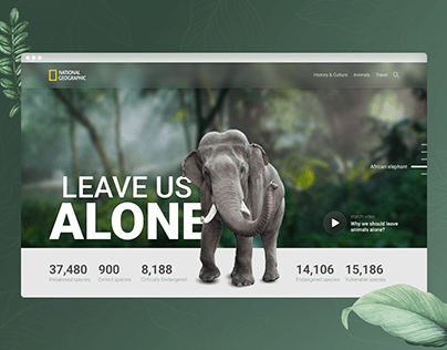 Save Animals - Forest - Hero Section
