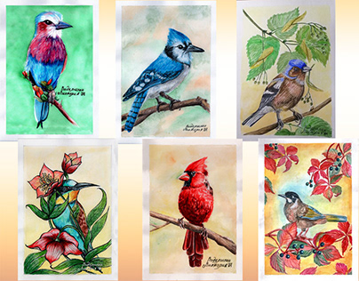 Серия открыток "Яркие птахи"