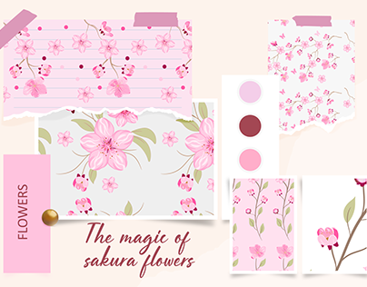 The magic of sakura flowers