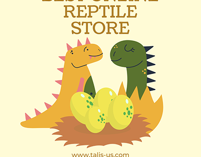 Best Online Reptile Store