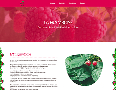 LA FRAMBOISE WEBSITE (CONCEPT WS FRUIT_1)