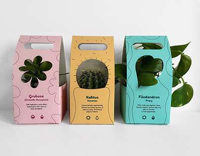 Plant Gift Packaging