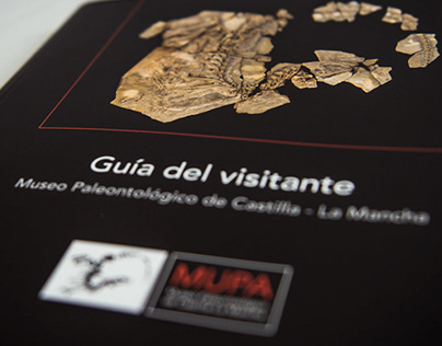 Visitor's Guide to the Paleontological Museum of CLM