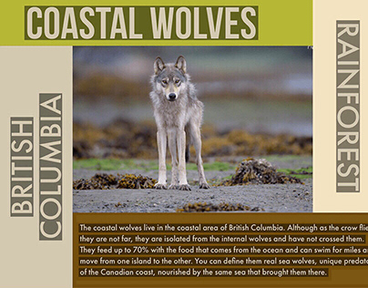 Coastal Wolves