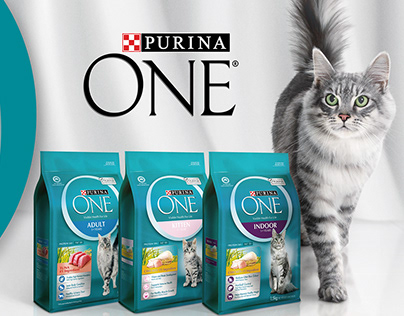Purina ONE: The Living Proof Digital Toolkit
