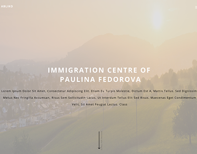 Immigration Center Landing Page