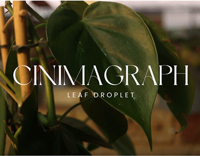 Leaf Droplet Cinemograph