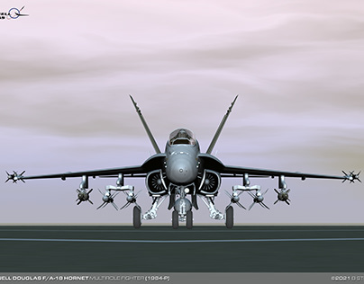 McDonnell Douglas F/A-18 Hornet Multirole Fighter
