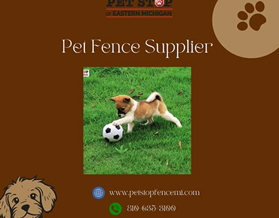 Secure Your Pets with the Leading Pet Fence Supplier