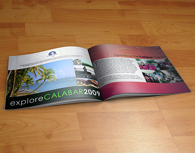 Brand Design - Calabar Carnival 2009