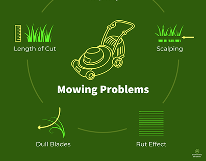 Lawn Care - Mowing Problems