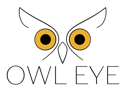 Logo Design: Owl Eye Group