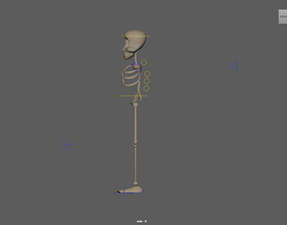 The Skeleton Character