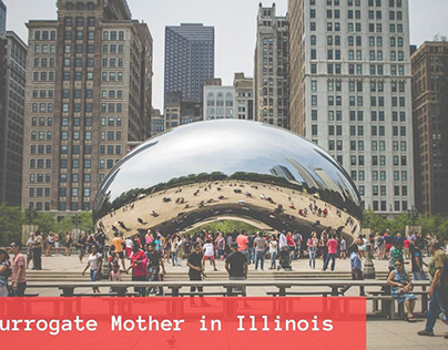 Surrogate Mother in Illinois