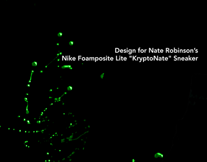Design - Nike Sneaker Nate Robinson Foamposite Lite PE