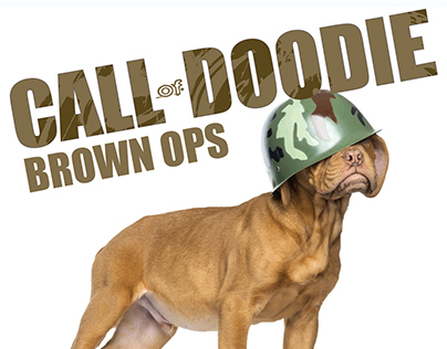 Call of Doodie - Brown Ops