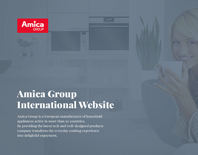 Amica Group International Website