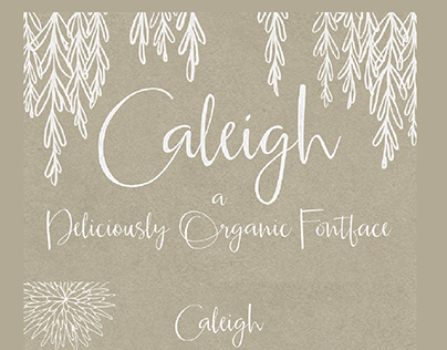 Caleigh Script Font with Bonus