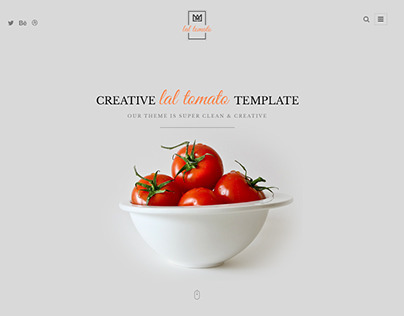 Lal Tomato | One Page Multi-purpose Template