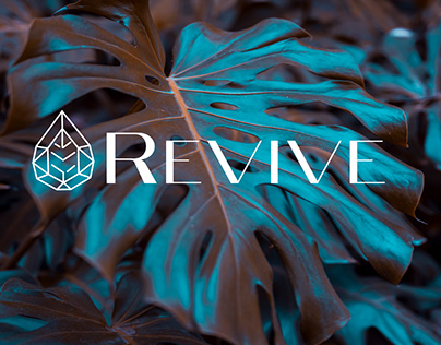 Revive Logo and Brand Identity