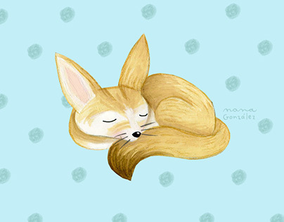 foxy/zorrito