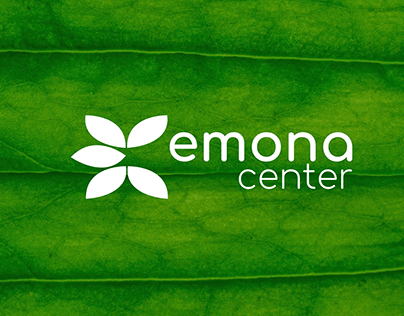 Branding Visual Identity - Emona Center