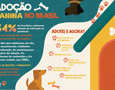 Infográfico Adoção Canina no Brasil