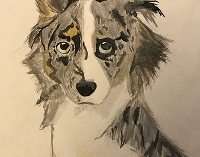 Border Collie by PS