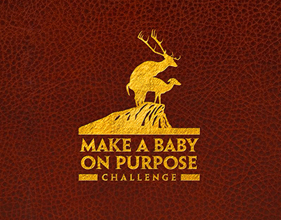 Art Director: Make a Baby On Purpose Challenge